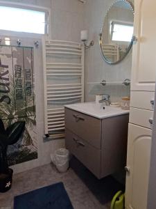 een badkamer met een wastafel, een spiegel en een douche bij joli appartement in Villeneuve-sur-Lot