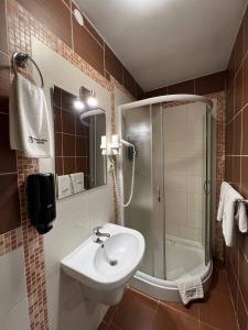 ein Bad mit einem Waschbecken, einer Dusche und einem WC in der Unterkunft Pallada Hotel in Ternopil