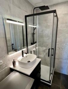 Appartement centre-ville Annecy tesisinde bir banyo