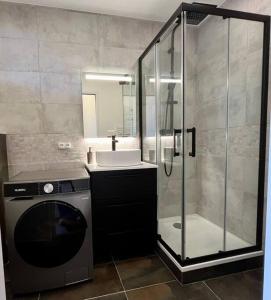 y baño con ducha, lavabo y lavadora. en Appartement centre-ville Annecy en Annecy