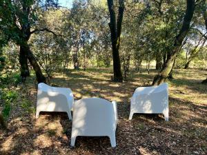 dos sillas blancas sentadas en un campo con árboles en Maisonnette avec petite forêt, en Valréas