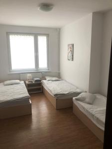 una habitación con tres camas y una ventana en HOSTEL 24, en Bydgoszcz 6 fotos más