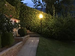 Zahrada ubytování Albergo Elisa