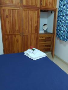a bedroom with a blue bed and a wooden cabinet at Cozy 1 br 1 bath apartment with free parking in Penonomé