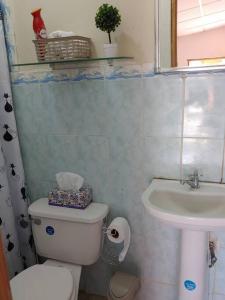 a small bathroom with a toilet and a sink at Cozy 1 br 1 bath apartment with free parking in Penonomé