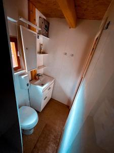 małą łazienkę z toaletą i umywalką w obiekcie Koča Janka in Metke w mieście Velika Loka