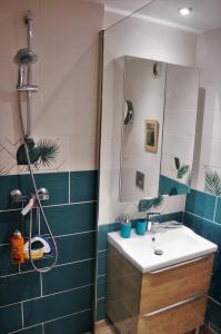 een badkamer met een wastafel en een spiegel bij La lanterne in Gap