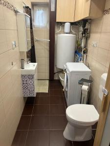 La petite salle de bains est pourvue de toilettes et d'un lavabo. dans l'établissement Star Street Home, à Mosonmagyaróvár