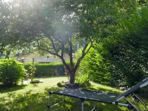 a ping pong table in a yard with a tree at Holiday Home La Casina by Interhome in Olivone