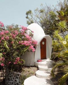a small house with a door and some pink flowers at Villa Dreamdome in Teluk Nara