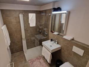 ein Bad mit einer Dusche, einem Waschbecken und einem WC in der Unterkunft Apartment Gletscherhorn Sockelgeschoss Südwest by Interhome in Zweisimmen