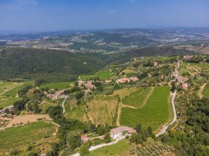 una vista aérea de un viñedo y un pueblo en una colina en Holiday Home Ridaldi by Interhome, en Greve in Chianti