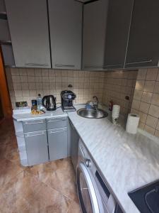 Il comprend une cuisine équipée d'un évier et d'un lave-linge. dans l'établissement Apartament motel, à Chişinău