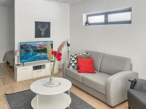 uma sala de estar com um sofá e uma televisão em Holiday Home Ylälänsi 3 as 2 by Interhome em Ylläsjärvi