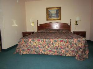 a bedroom with a large bed with a colorful bedspread at Western Inn & Suites Hampton in Hampton