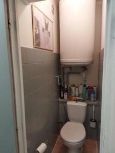 een kleine badkamer met een toilet en een wastafel bij Superdévoluy Les Issarts in Superdevoluy