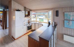 エーベルトフトにあるNice Home In Ebeltoft With 4 Bedrooms, Sauna And Wifiのキッチン(冷蔵庫、カウンタートップ付)