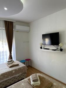 TV a/nebo společenská místnost v ubytování Hostel Gray