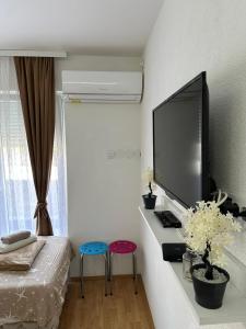 TV a/nebo společenská místnost v ubytování Hostel Gray