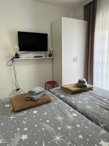 TV a/nebo společenská místnost v ubytování Hostel Gray