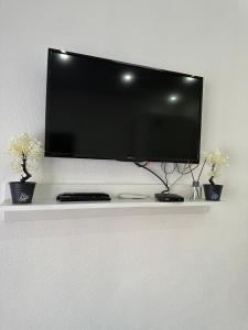 TV a/nebo společenská místnost v ubytování Hostel Gray
