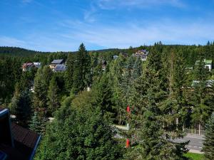 an aerial view of a forest of trees at Apartment Harrachov 497-2 by Interhome in Harrachov