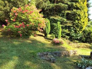 Vonkajšia záhrada v ubytovaní Holiday Home Jahor by Interhome