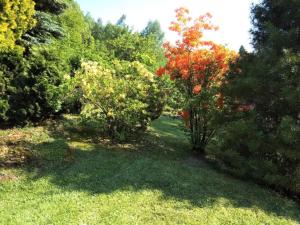 Vonkajšia záhrada v ubytovaní Holiday Home Jahor by Interhome