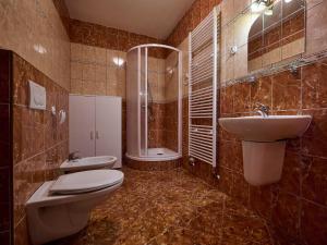a bathroom with a toilet and a sink and a shower at Apartment Špičák II by Interhome in Albrechtice v Jizerských horách