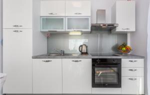 A kitchen or kitchenette at Gorgeous Apartment In Mladenici With Kitchen