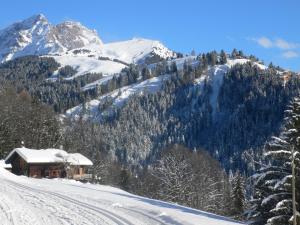 Chalet Dipankar by Interhome v zimě