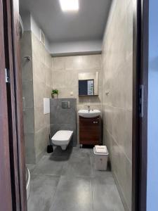 La salle de bains est pourvue de toilettes et d'un lavabo. dans l'établissement HOLIDAY HOME Slavia New 801 z widokiem na morze, à Międzyzdroje