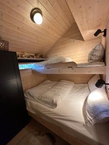 a small room with two bunk beds in a cabin at Special cottage in Sirdal in Tjørhom