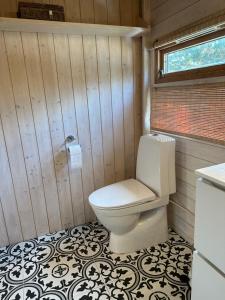 a bathroom with a toilet in a wooden wall at Special cottage in Sirdal in Tjørhom