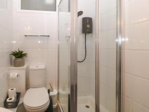 W łazience znajduje się prysznic i toaleta. w obiekcie Y Castell Apartment 1 w mieście Criccieth