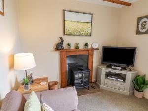sala de estar con chimenea y TV de pantalla plana en Coopers Cottage en Whitby