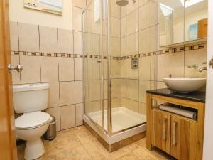 a bathroom with a shower and a toilet and a sink at Stable Cottage in Burton in Lonsdale