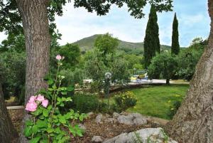 a garden with trees and pink flowers in a park at Villa Il Casolare Country House con piscina in Itri +33 photos