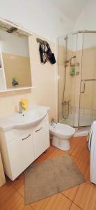 y baño con lavabo, ducha y aseo. en Inessa center budget room en Chişinău