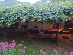 una vista su una casa con un mucchio di viti di Guest House Nene a Mestia
