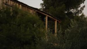 Fotografie z fotogalerie ubytování Olive Branch Hotel v destinaci Džaraš