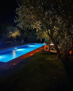 una piscina notturna con tavolo e albero di B&B La Cervaiola a Porano