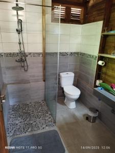 ein Bad mit einem WC und einer Dusche in der Unterkunft La petite sucrerie in Le François