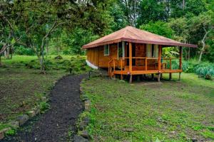 a small wooden cabin with a grass roof at Galapagos Cabañas Eden in Bellavista
