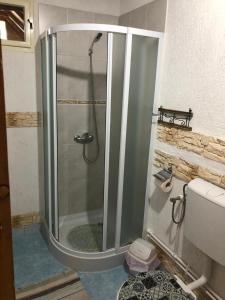 una doccia con porta in vetro in bagno di Facilitati cazare Raluca a Viscri