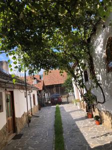 un callejón con árboles y una pasarela de piedra en Facilitati cazare Raluca, en Viscri