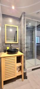 een badkamer met een wastafel en een douche bij Le Duplex Catherine - Metro - Gare - WIFI in Toulouse