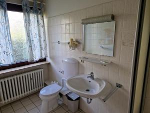 a bathroom with a sink and a toilet and a mirror at Hotel PB in Goslar