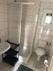 a bathroom with a shower and a toilet and a sink at Vrijstaand Chalet in Bospark in Hattemerbroek