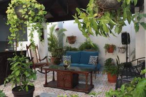 une terrasse avec un canapé bleu et beaucoup de plantes dans l'établissement Jardín de la Nonna #1, à San Pedro Sula